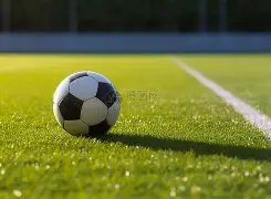 独领风骚,独行侠主场,豪赌,PA真人,PA真人平台,PA真人官网,PA真人官方网站