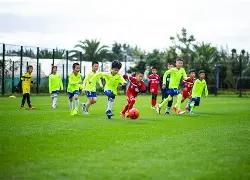 激情对决,非洲杯激战,正酣,PA真人,PA真人平台,PA真人官网,PA真人官方网站