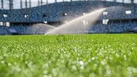 pa真人 资讯 101144 rkt