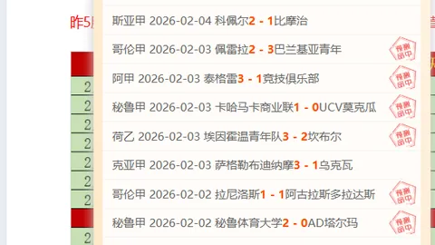罗伊斯制胜球助多特1-0击败勒沃库森，阿德耶米伤退赛场